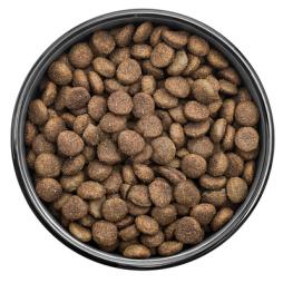 Сухой корм FLORIDA для взрослых собак крупных пород, с ягненком и грушей