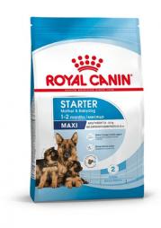Сухой корм Royal Canin Maxi Starter для щенков крупных пород от 3 недель до 2 месяцев, беременных и кормящих сук