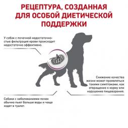 Сухой корм Royal Canin Renal RF16 для собак при почечной недостаточности